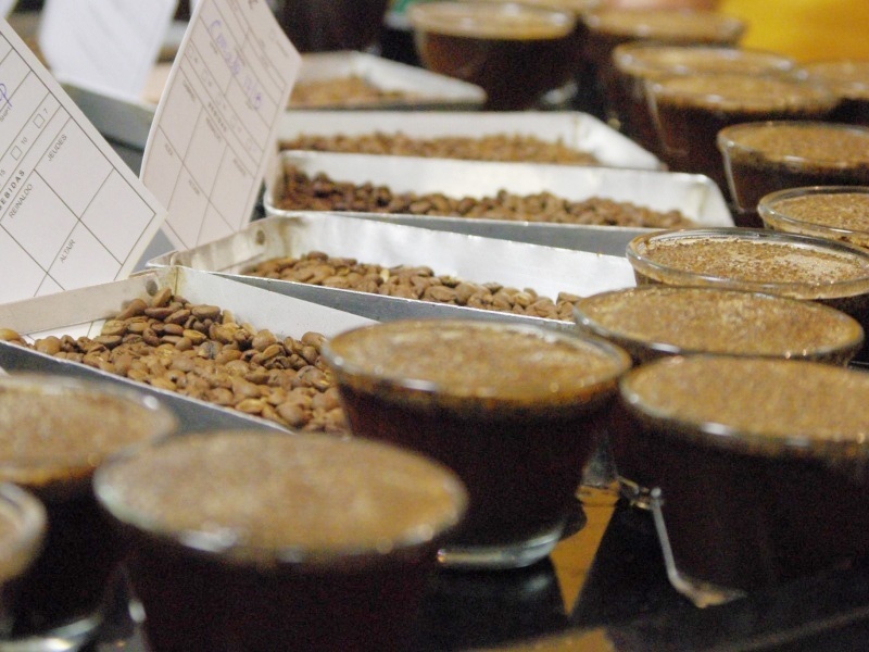 【オーダー焙煎】ブラジル ドルチェ チョコラーダ ナチュラル No.2　＊粉挽き不可