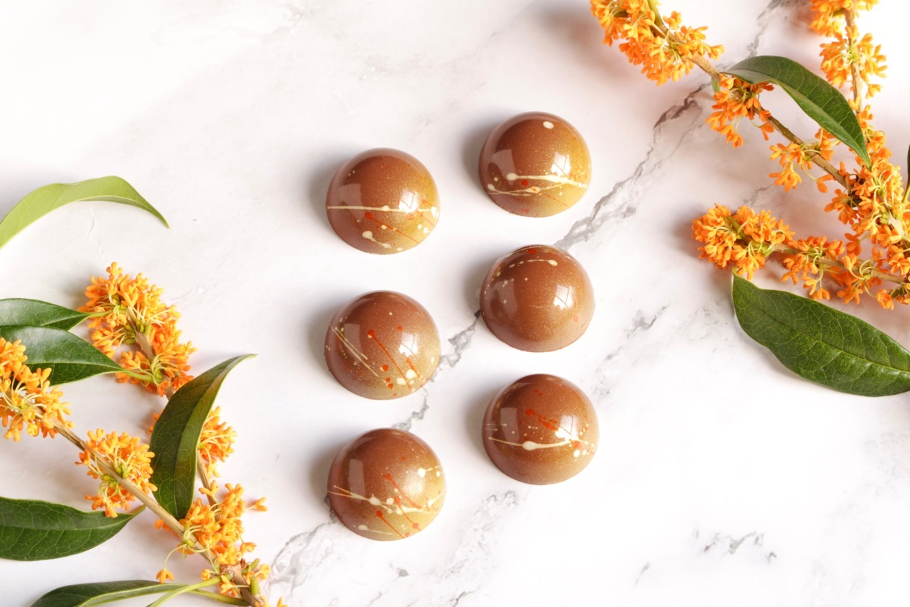 白湯で味わうチョコレート🍫ボンボンショコラ8個セット