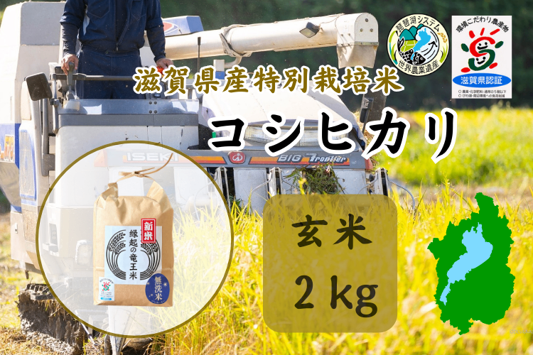 令和7年産【玄米2kg】「コシヒカリ」特別栽培米！1750年から続くお米農家が作った『縁起の竜王米』