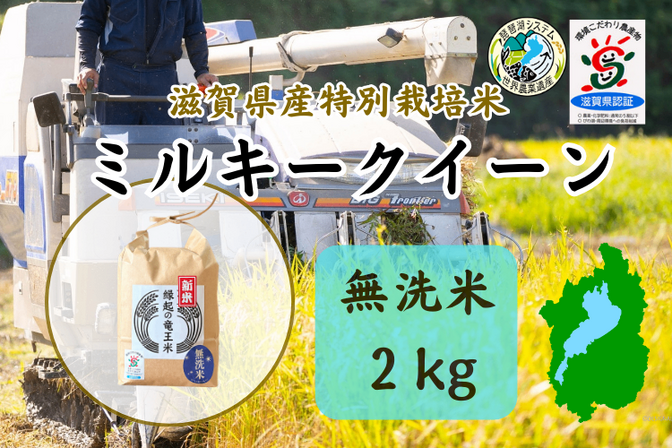 令和7年【無洗米2kg】「ミルキークイーン」特別栽培米！1750年から続く米農家が作った縁起の竜王米