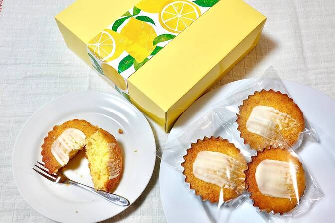 無農薬レモンのマドレーヌ🍋８個入箱ギフト
