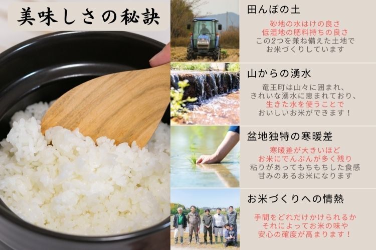 令和7年【白米10kg】「ミルキークイーン」特別栽培米1750年から続くお米農家が作った縁起の竜王米