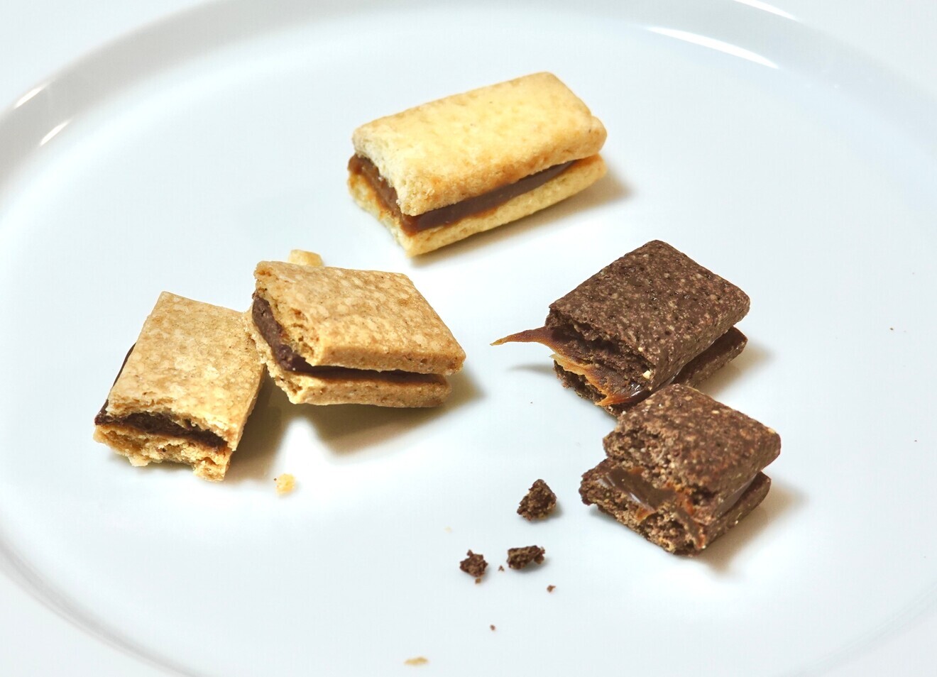 チョコ/キャラメルサンドクッキー（スクエアミニ）