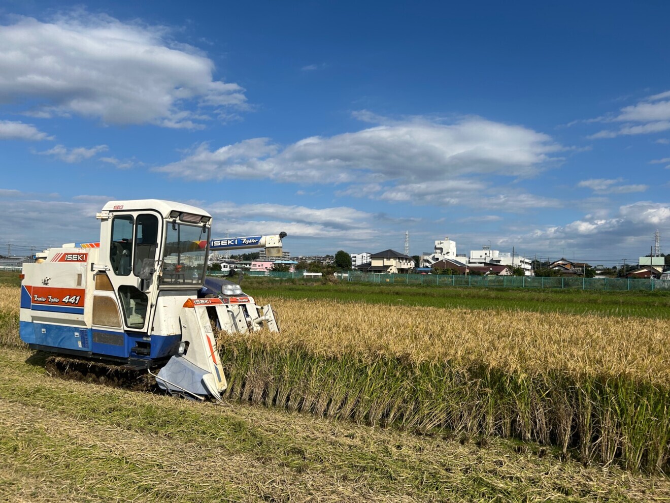 【農家直送】令和7年産 神奈川県産 はるみ玄米29kg（低農薬栽培／新米）