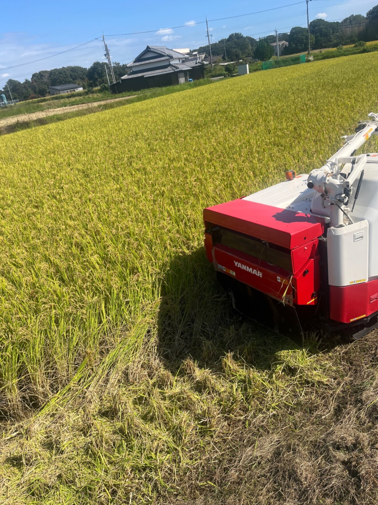 感謝🙏💕1.5キロのもち米のみ販売中💕
今シーズン売り切れなりました🩷