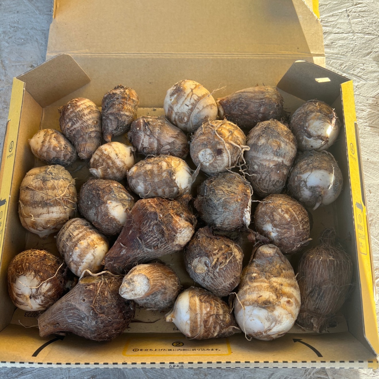 一度食べたら忘れられない！
里芋の濃厚な旨みとねっとり食感✨