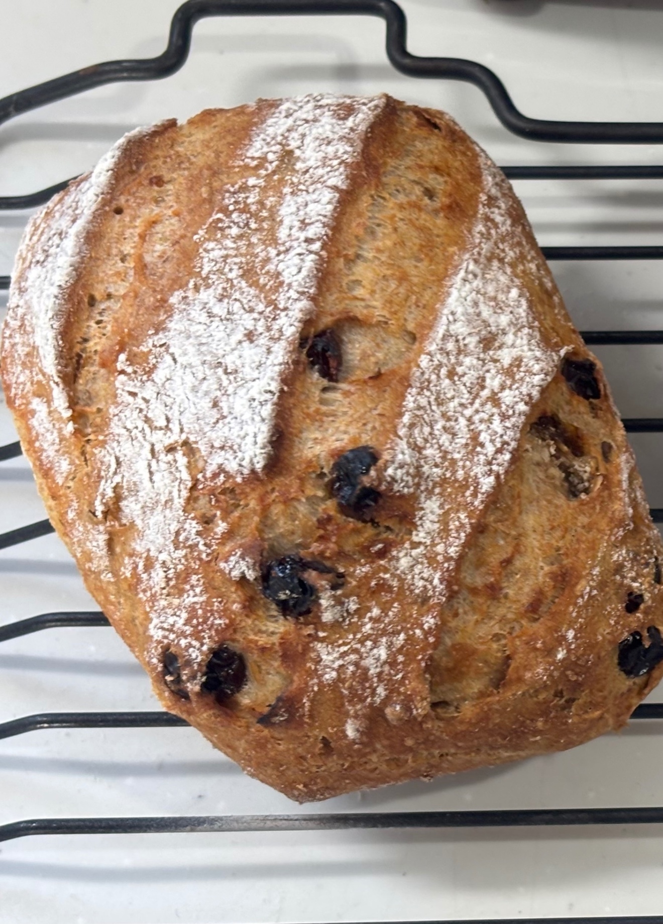 自家製酒種酵母パン５種　〜　100%全粒粉・無添加素材のハードパン