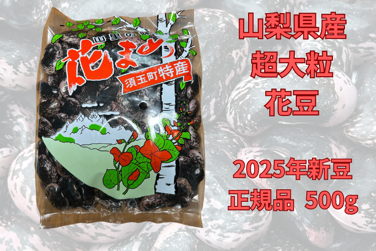 【2025新豆・数量限定】大粒紫花豆（紅花隠元豆）正規品500g（山梨県北杜市黒森産）