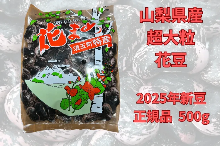 【2025新豆・数量限定】大粒紫花豆(紅花隠元豆)正規品500g(山梨県北杜市黒森産)
