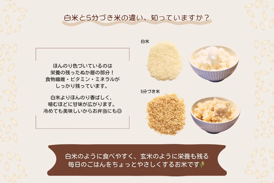 【穂の音 900g】五分づき米 ― 玄米をやさしく精米した、家族みんなにやさしいごはん ―