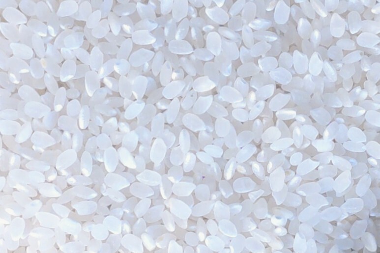 【東京方面までは送料無料になります】令和七年産福島県産コシヒカリ検査済一等米白米27kg