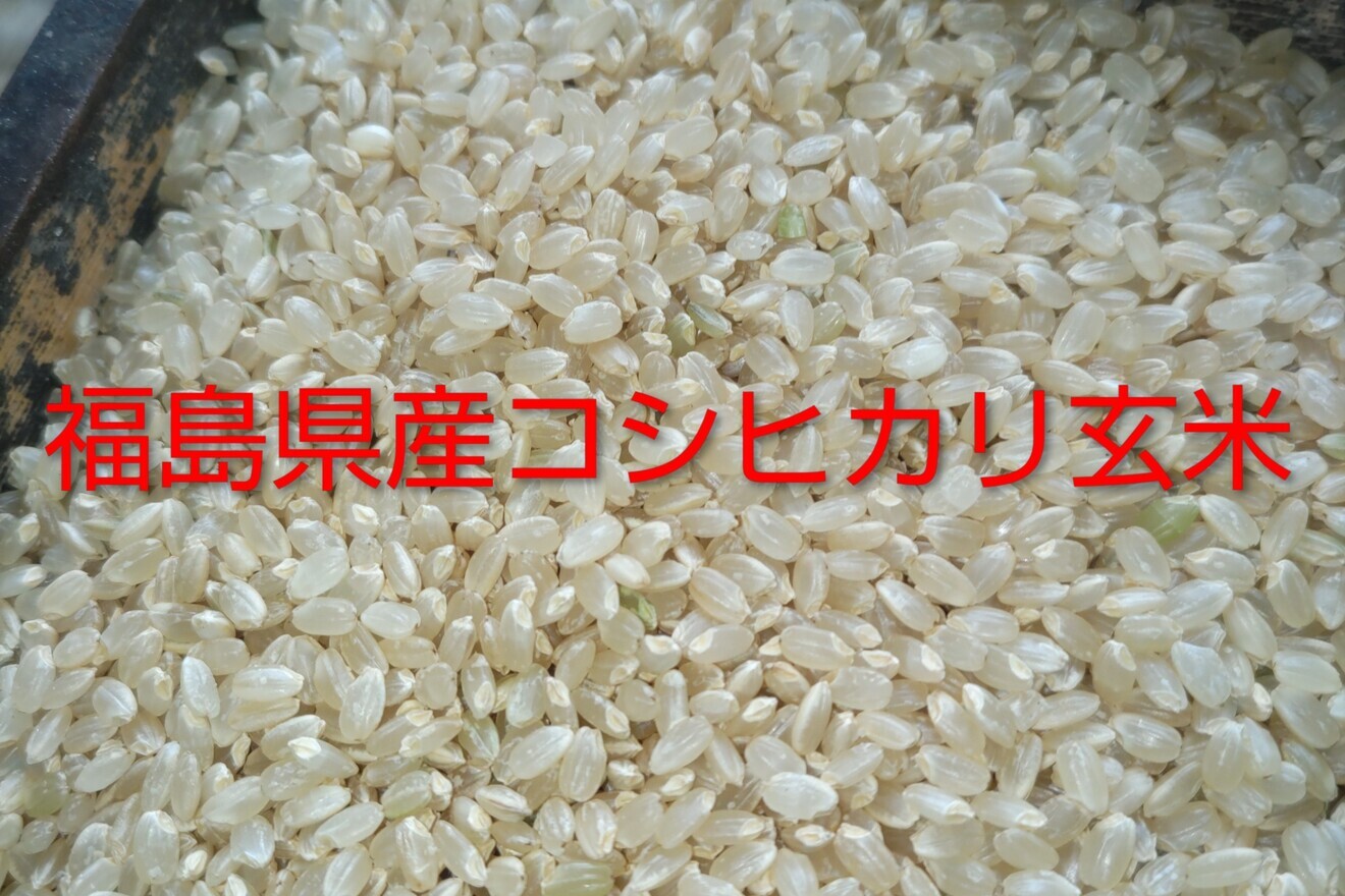 【東京方面まで送料無料になります】令和七年産福島県産コシヒカリ玄米検査済一等米10kg （5㎏2袋）