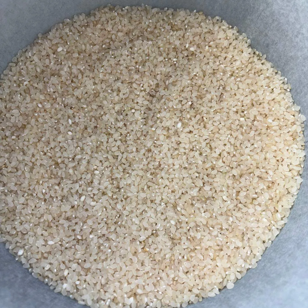 【農家直送】広島県産アキサカリ 5kg 白米　玄米　可　お米　米　粒立ちの良いお米（玄米/白米対応）