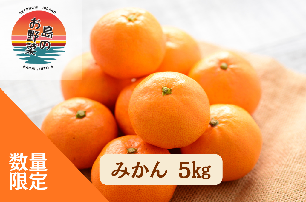 山口県産【みかん5kg】 基本送料無料 リベポ歓迎 島のお野菜