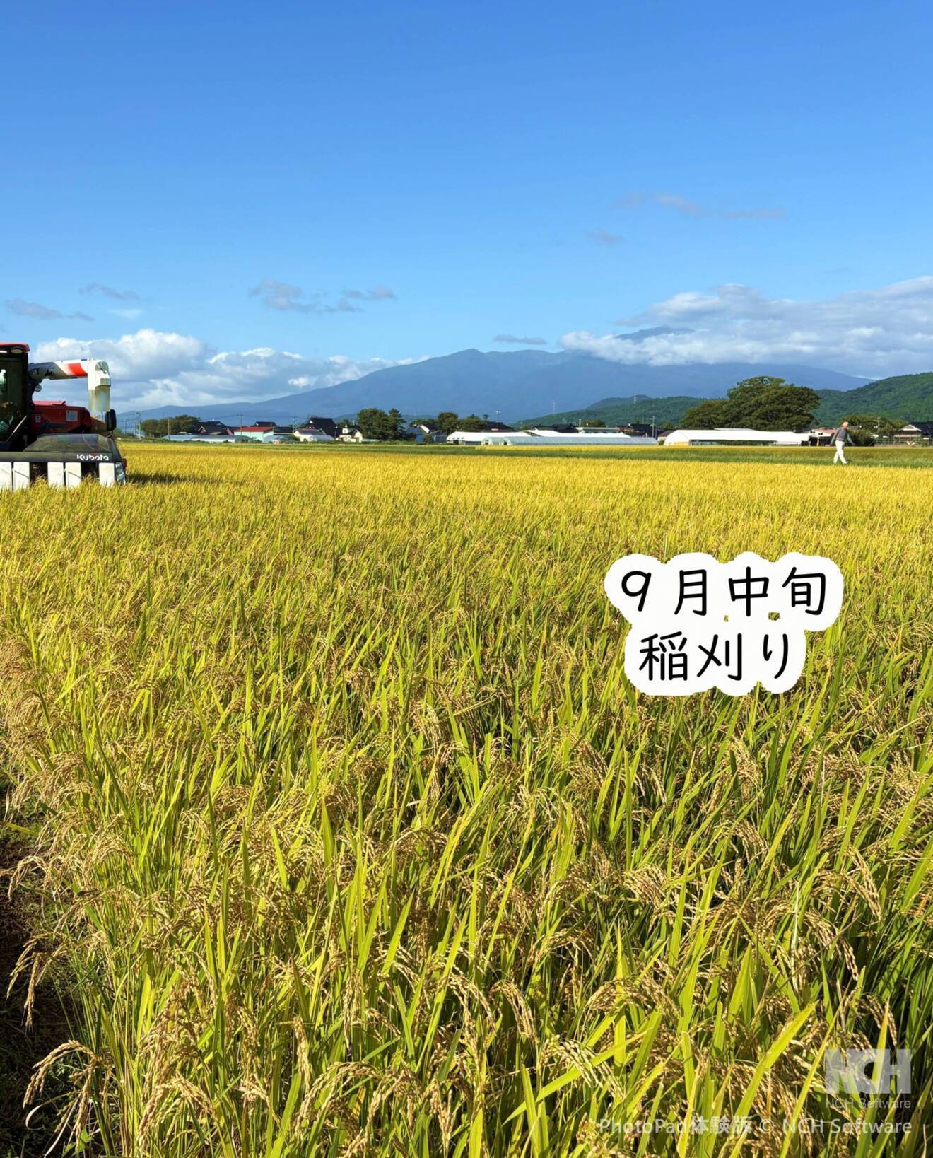 令和7年山形県庄内産『はえぬき』
うまみ白米 6合（900g）