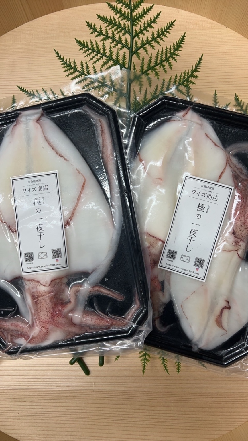 一度食べると忘れられない旨味！福岡県産ヤリイカ！