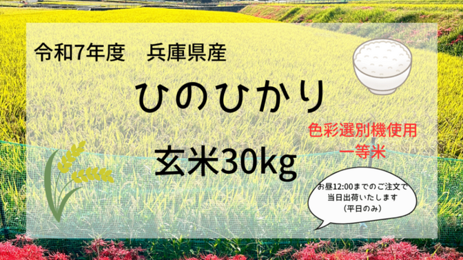 【一等米🌾精米可◎】令和7年度ひのひかり玄米30kg