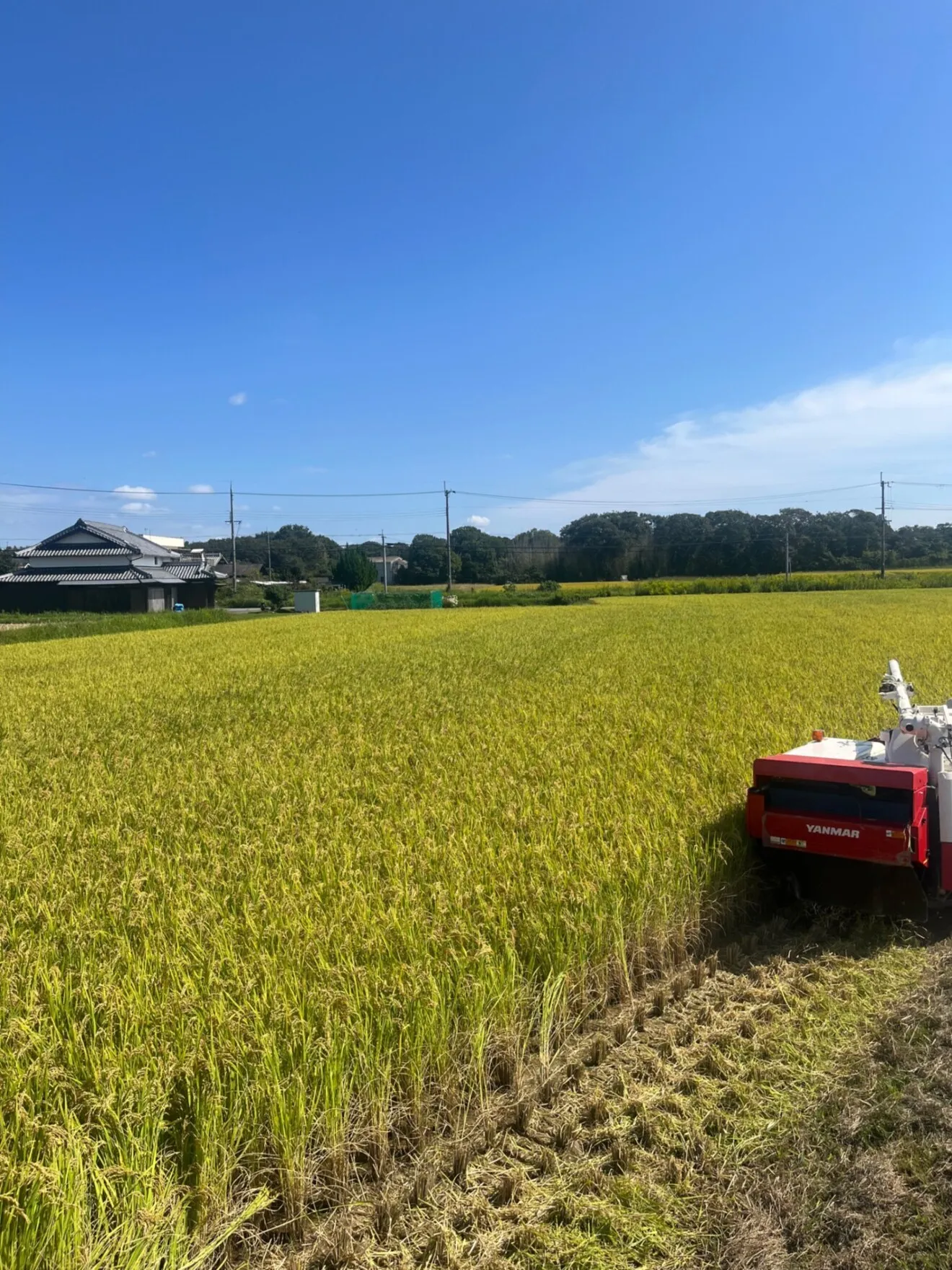💕もち米精米3キロ＆ポン菓子食べ比べセット💕
