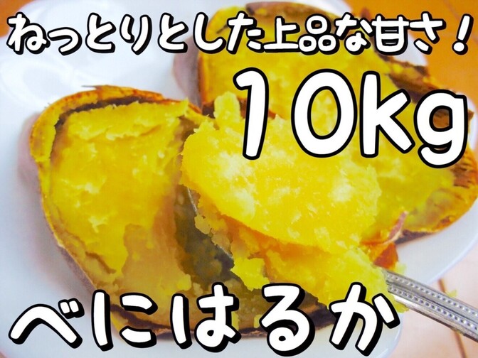 10kg【紅はるか】無選別 ☆ねっとり甘い☆さつまいも
