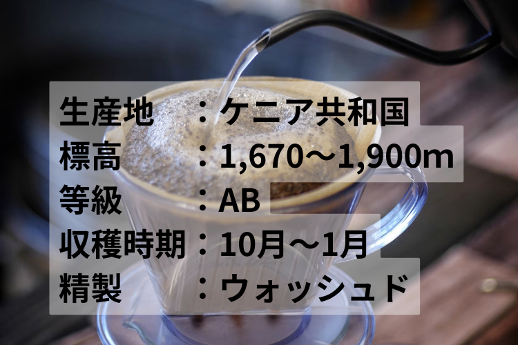 カフェオレにおすすめのコーヒー豆