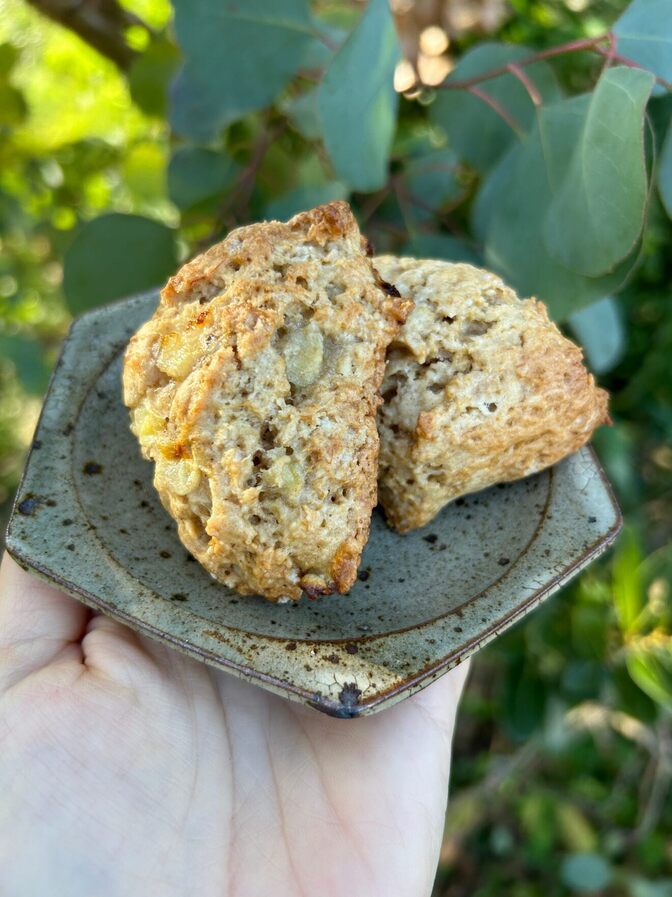 【スコーン3種】プレーン、バナナ、いちじく紅茶。卵、乳製品不使用。