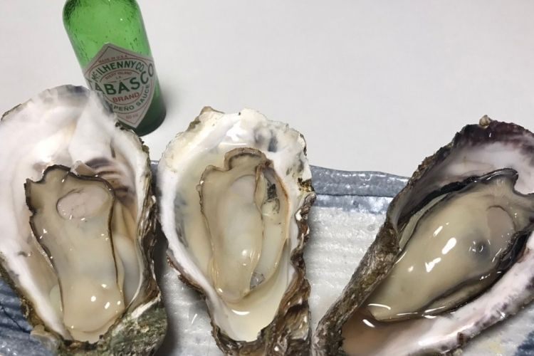 【ついに復活！】殻付き牡蠣🦪困難を乗り越えた「魂の広島産江田島牡蠣」旨味凝縮