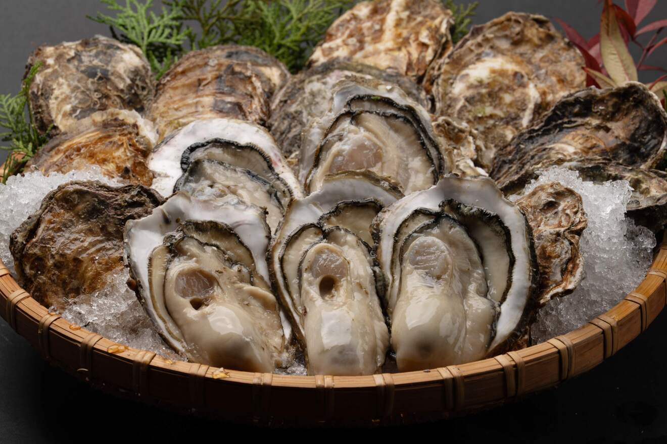 【江田島直送】一斗缶」開けた瞬間、広がる磯の香りと濃厚なコク～な旬の牡蠣