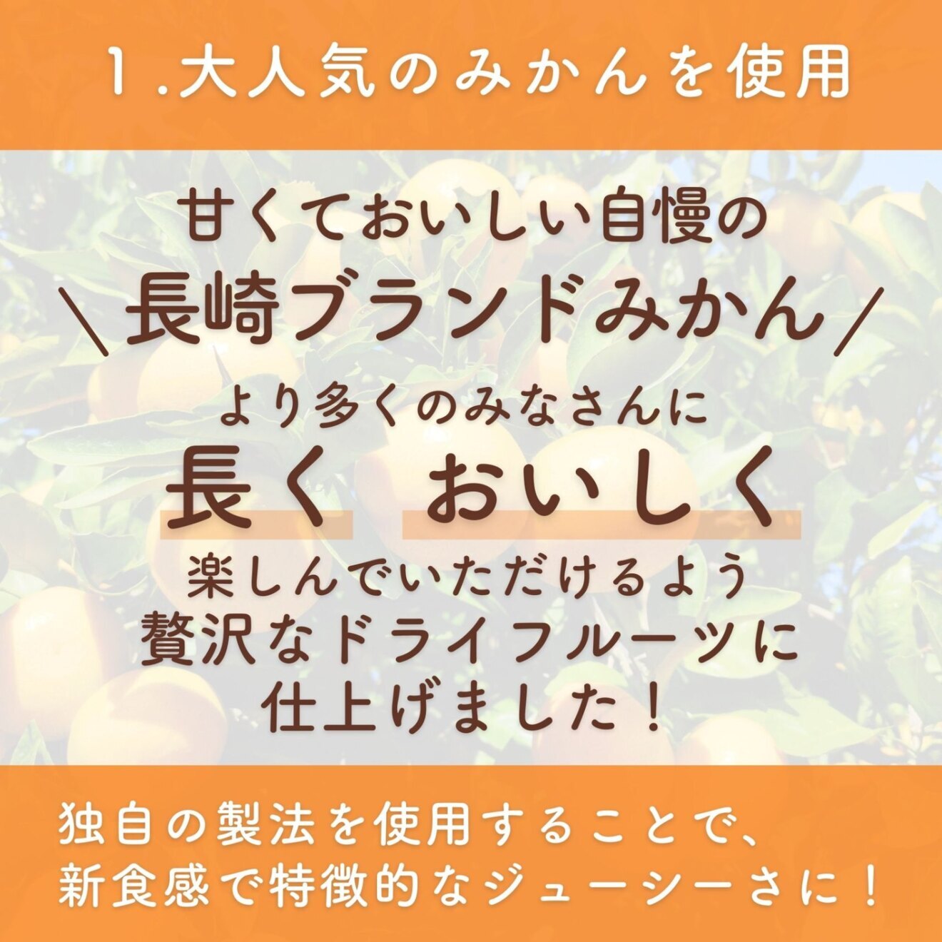 また補給しました！！【半生ドライフルーツの頂点!(糖度２５度以上）】無添加の円熟のみかん（90ｇ）