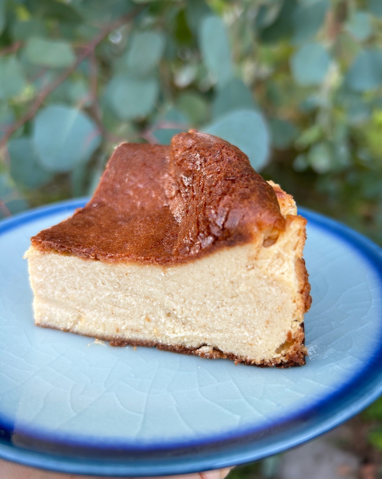 【2025年お疲れさまでしたセット】とろりんちょ、バスクチーズケーキ、豆腐ガトーショコラ、スコーン