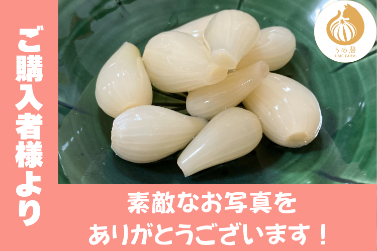 熊本県産 こだわり らっきょう甘酢漬け 110 g