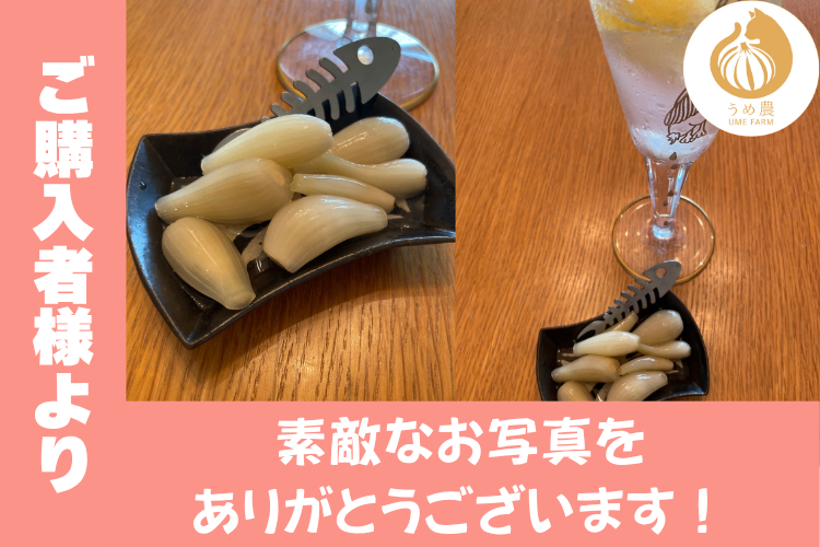 熊本県産 こだわり らっきょう甘酢漬け 110 g