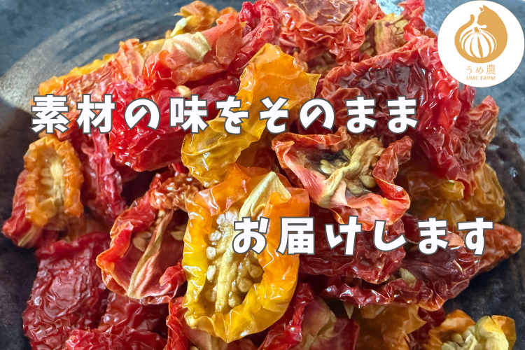 【熊本県産・農薬不使用】ドライトマト｜甘みと旨味、ぎゅっと凝縮。