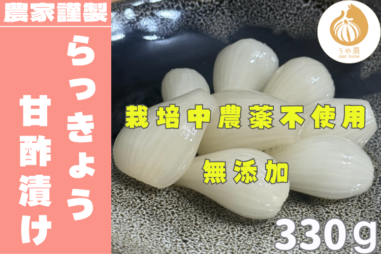 熊本県産 農家謹製 らっきょう甘酢漬け 330 g
