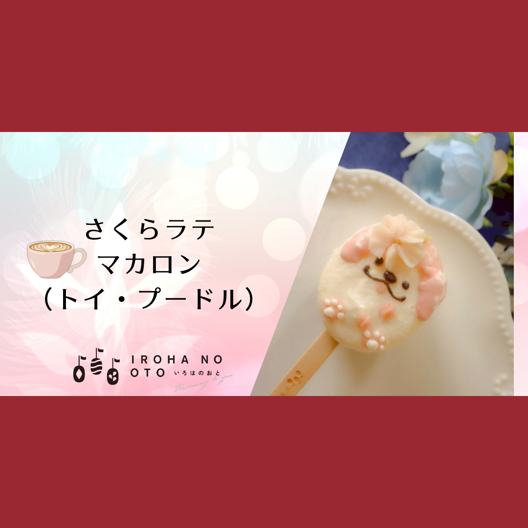 【春のスイーツ】期間限定！棒付きマカロン4本セット結