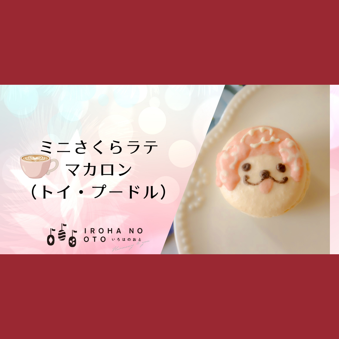 【春のスイーツ】期間限定！ミニマカロン4個セット結