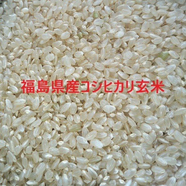 【東京方面までは送料無料になります】【限定数量】令和七年産福島県産コシヒカリ玄米検査済一等米30㎏