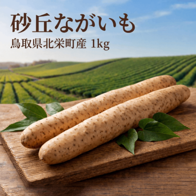 【新物】鳥取県北栄町産“とろける”砂丘ながいも 1kg（2本前後）

