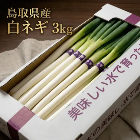【秀品】白ネギ 3kg L 2L 白ねぎ ネギ 葱 22×59×12 サイズをお選びください