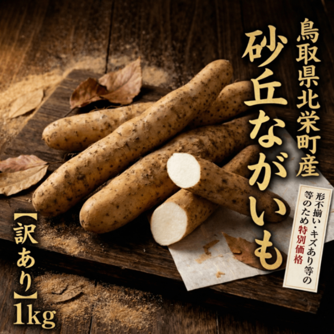 【訳あり】鳥取県北栄町産“とろける”砂丘ながいも 1kg（2本前後）