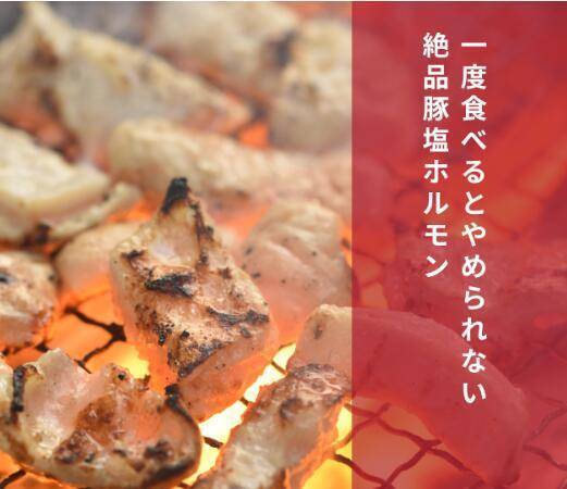 肉の山本 千歳ラム工房 豚塩ホルモン（豚直腸）焼肉用 にんにく塩ダレ漬け 上ホルモン 440g