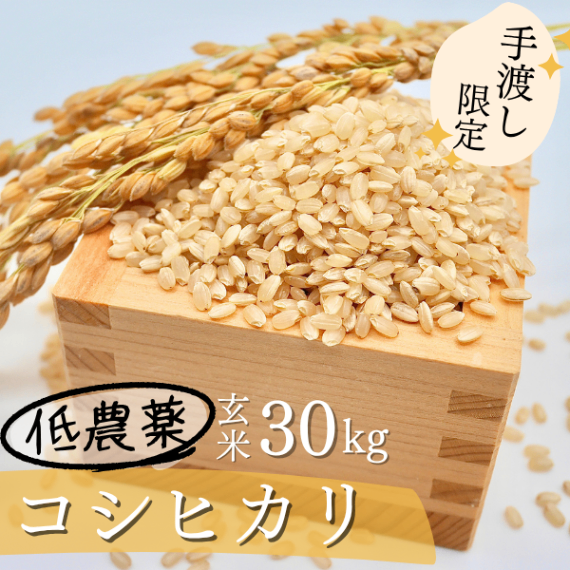 【手渡し限定】【令和7年静岡県産】農薬低濃度（基準値の1/5）コシヒカリ　　玄米30kg