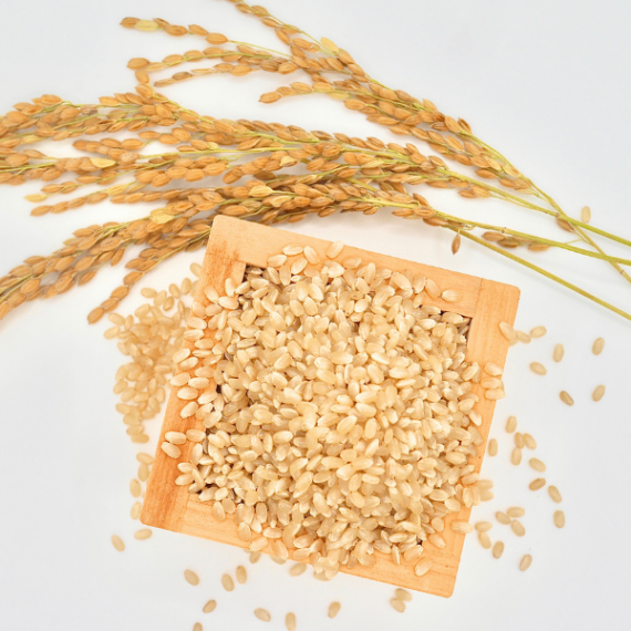 【手渡し限定】【令和7年静岡県産】農薬低濃度（基準値の1/5）コシヒカリ　　玄米30kg