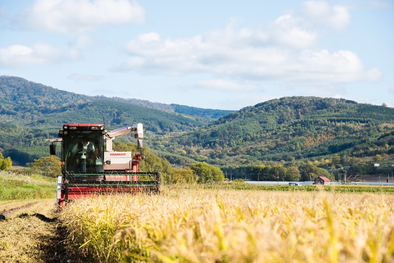 受賞歴あり 北海道産 特別栽培米ふっくりんこ玄米5kg