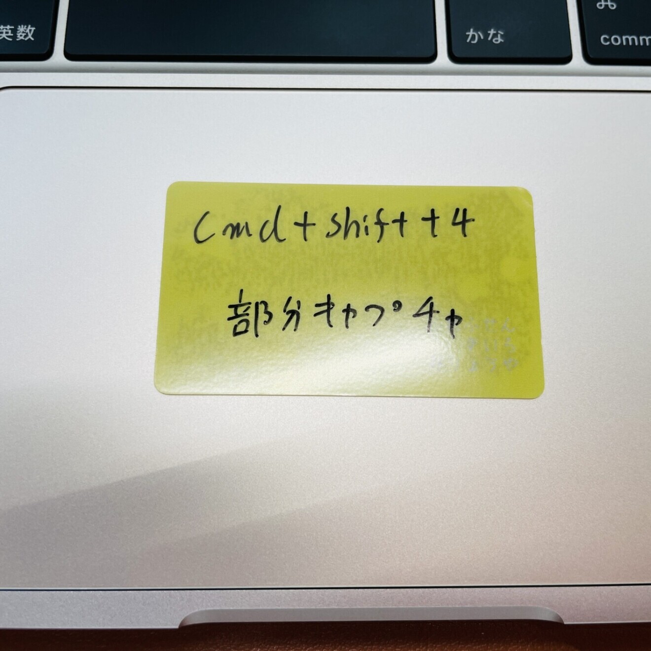 ふれふせん　うらばやなぎ