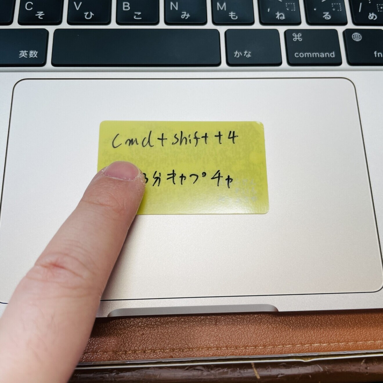 ふれふせん　くちなし