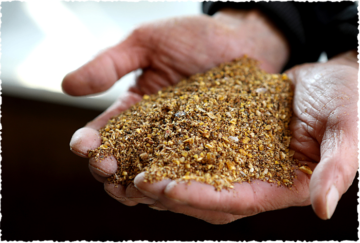 これでタマゴかけの無限ループ！　グルメ卵20個×たまごかけ醤油セット