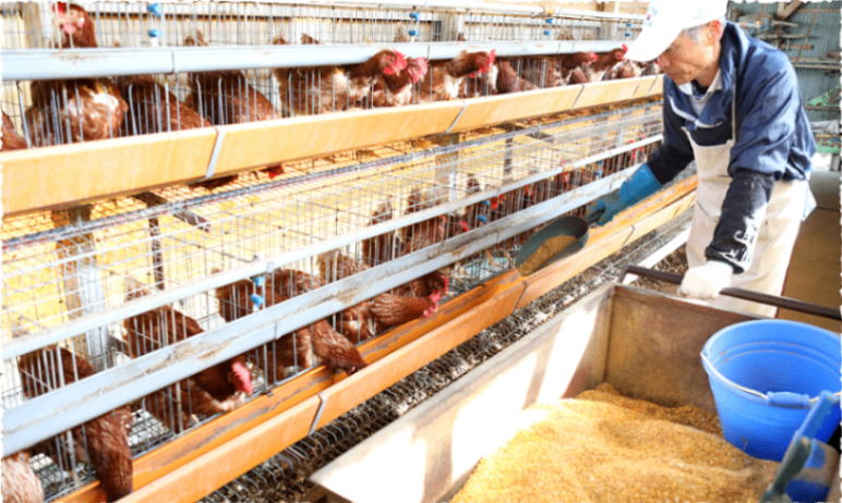 これでタマゴかけの無限ループ！　グルメ卵20個×たまごかけ醤油セット