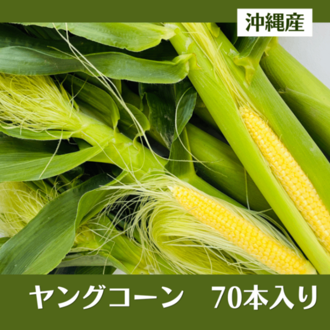 希少！この時期のヤングコーン♡沖縄産限定出荷！ 朝採れの新鮮さをそのまま食卓へ