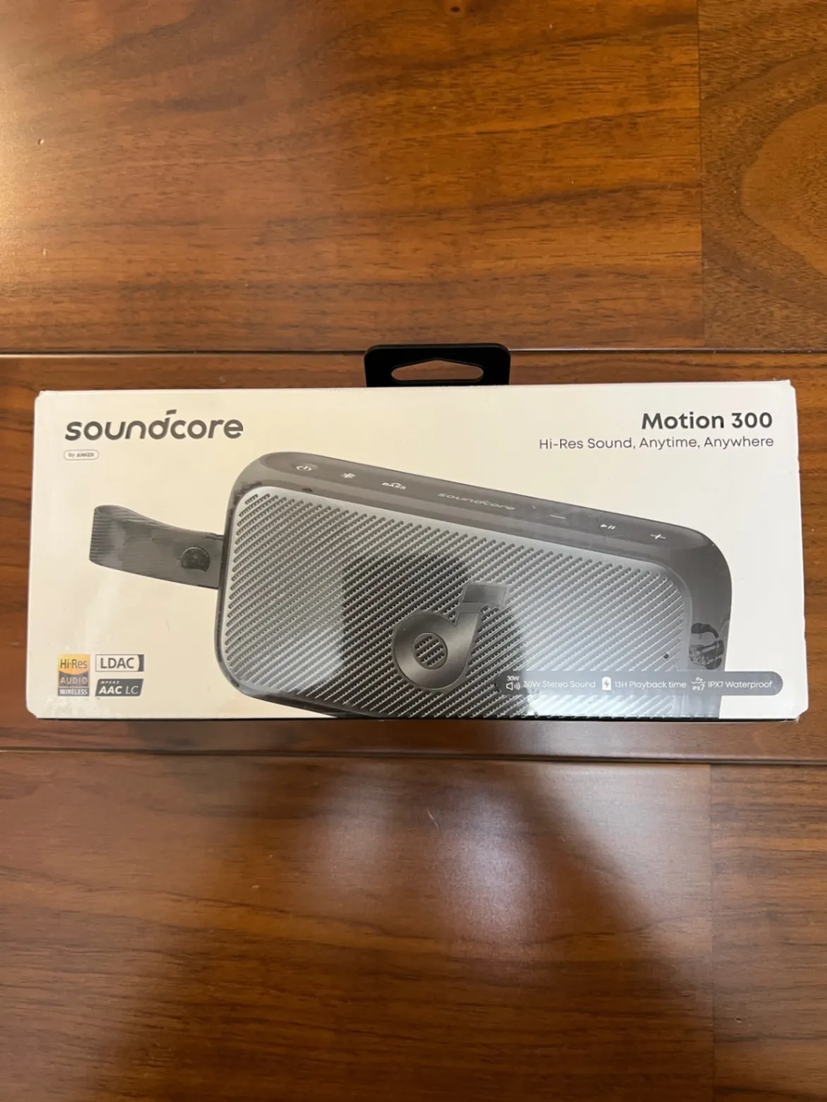 anker motion300