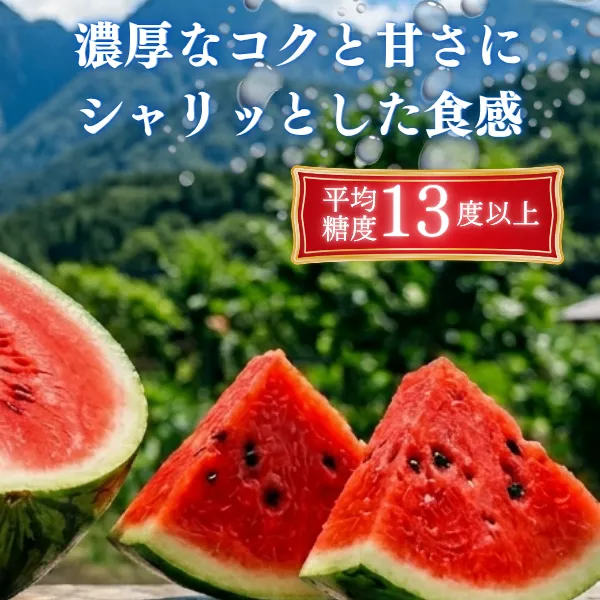 【羅皇ザスウィート】熊本県産 すいか  2玉入り 訳あり
